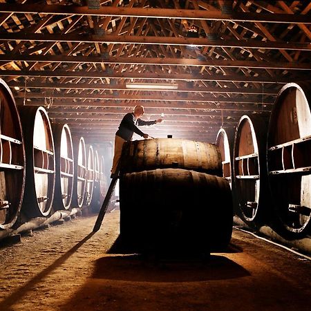 Pieter Van Gent Winery & Vineyard Budgee Budgee Eksteriør billede